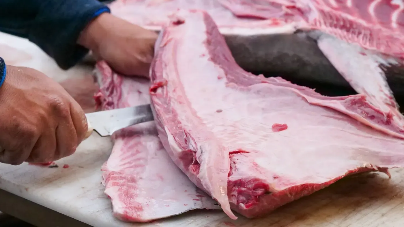 Filéning av fisk med kniv