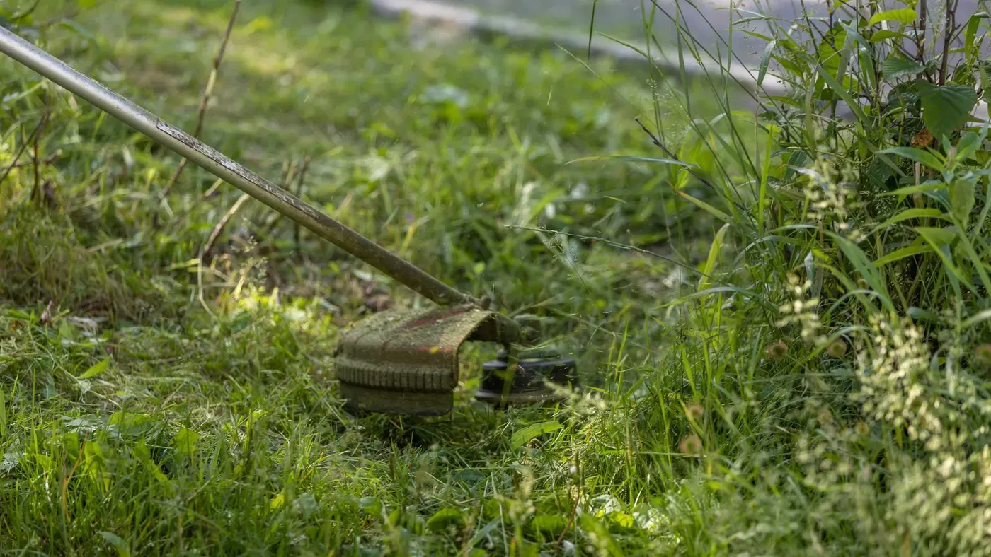 Grästrimmer som trimmar en kant