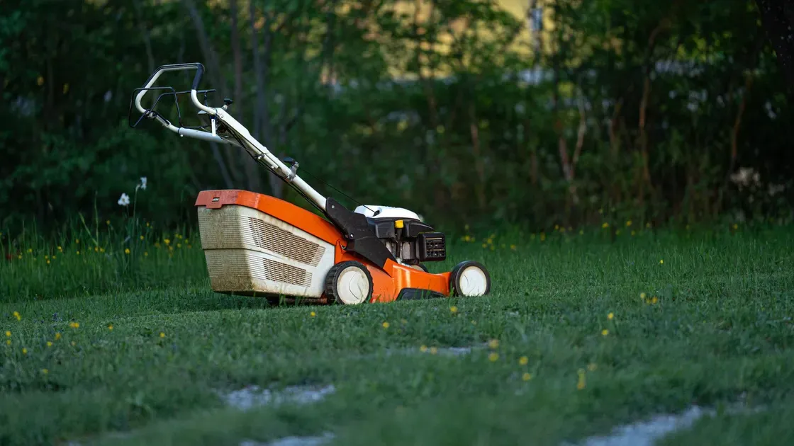 Klippt gräsmatta vid ett hus
