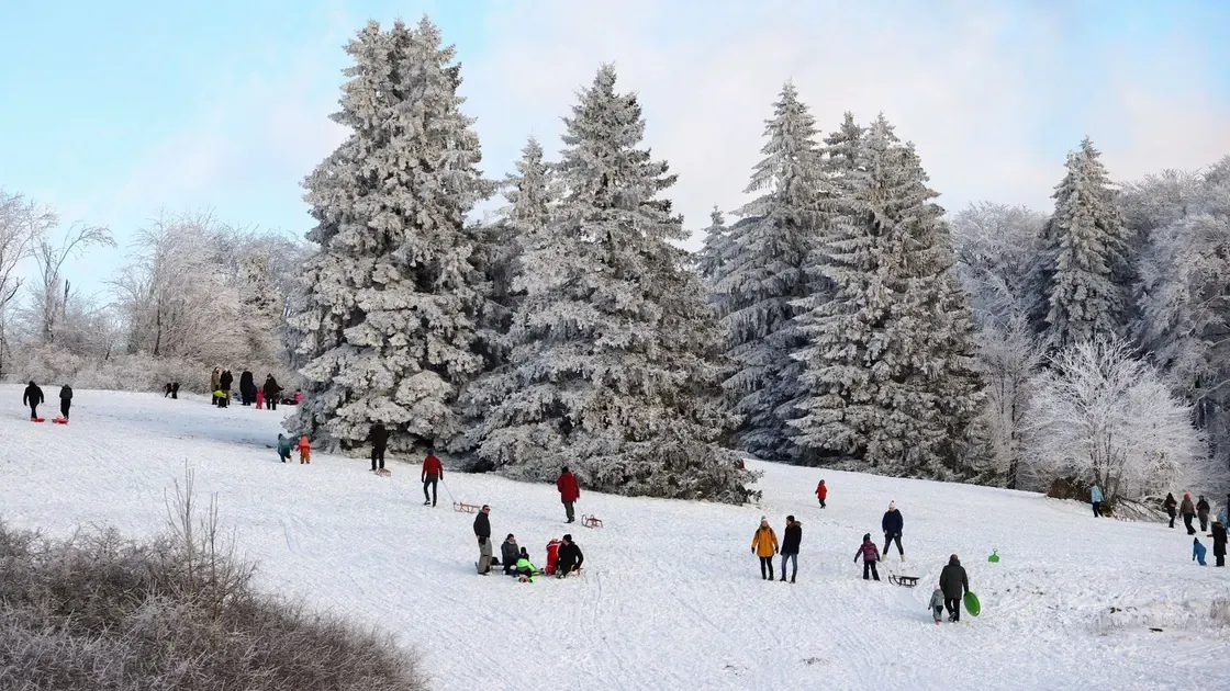 Snötäckt park i vinterljus